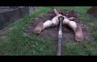 XXX Ali pausade, hennes pojkvän pornofilm hub är ryska