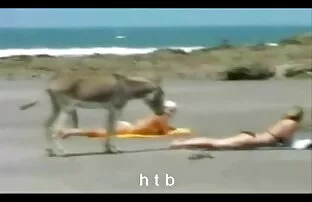 XXX Ung sexfilm på stranden slyna